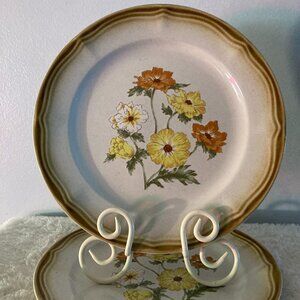 Chateau Stoneware "Simple Beauty" 10-1/2" Dinner Plates (2)